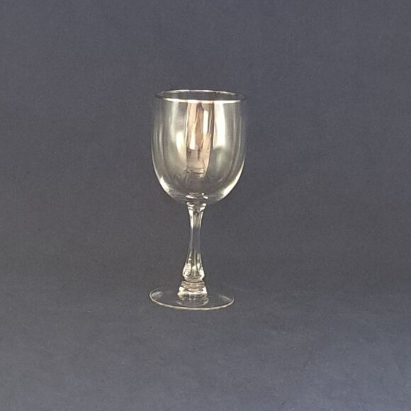 Fostoria Trousseau Water Goblet Platinum Trim Elegant Design For Dining - Picture 14 of 14